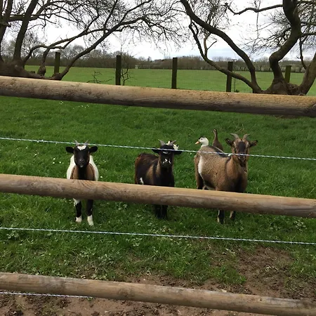 Гостевой дом Campagne