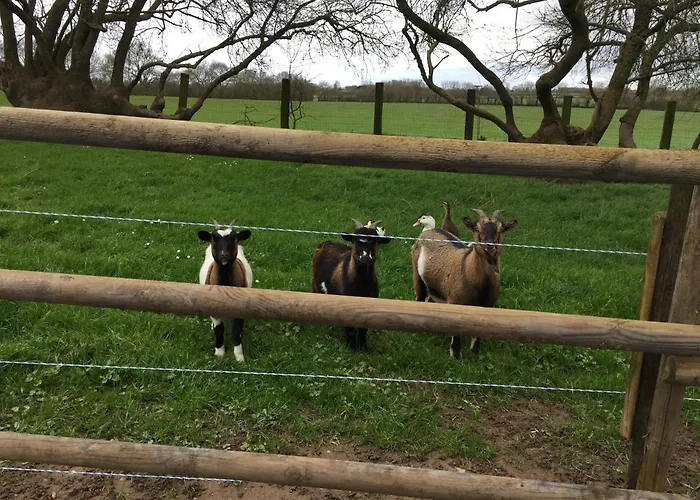 בית הארחה Campagne